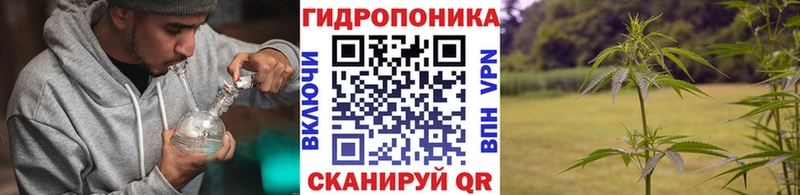 Где продают наркотики Агрыз ГАШИШ  Кодеин  Меф  Марихуана  A-PVP 