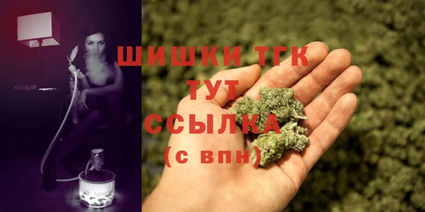 сатива Нягань