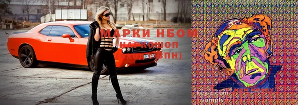 гидропоника Нязепетровск