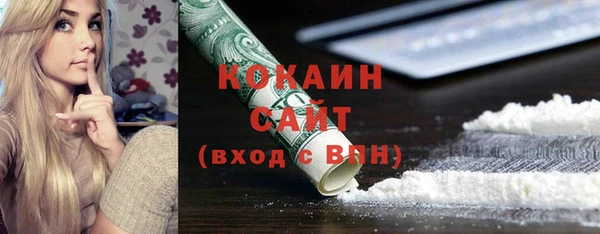 сатива Нягань